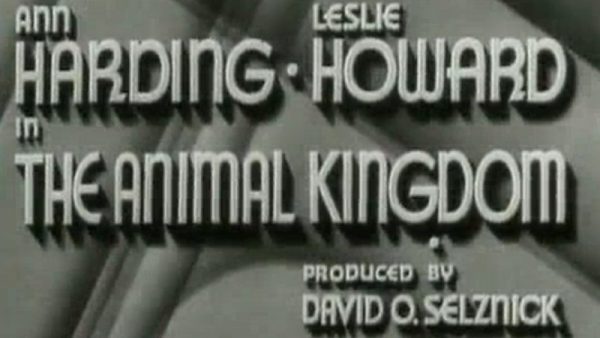 Animal Kingdrom, The