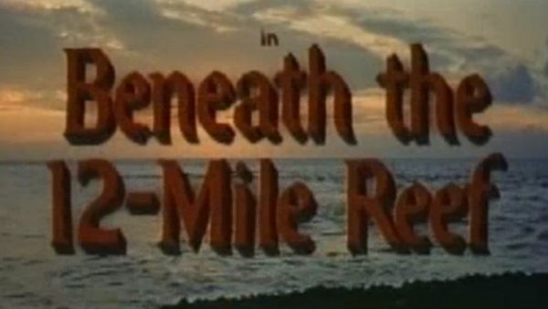 Beneath the 12 Mile Reef