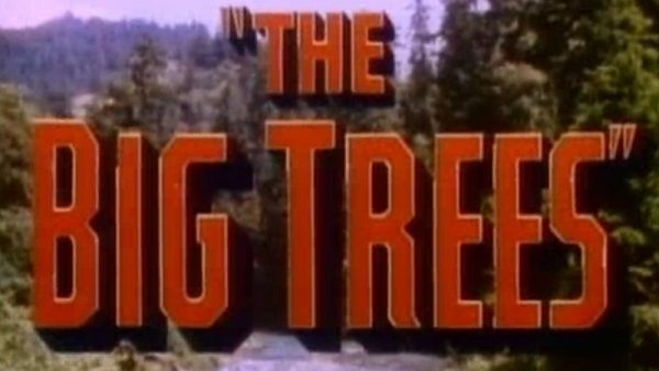 Big Trees, The