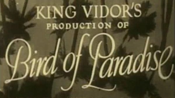 Bird of Paradise