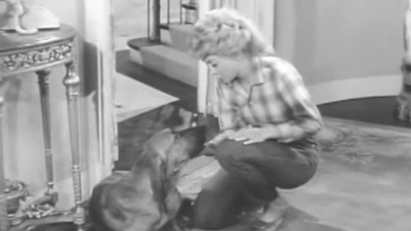 (ep 19) Elly’s Animals