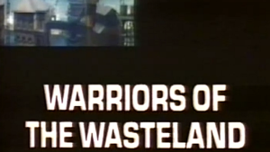 Warriors of the Wasteland